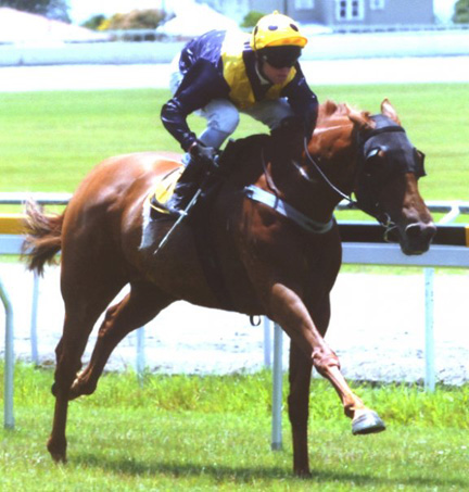 horseracing